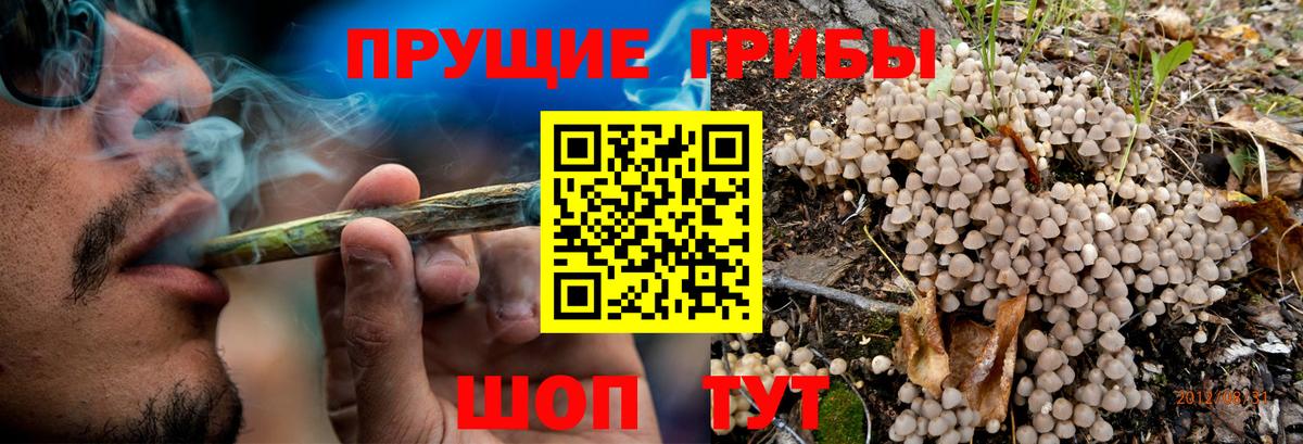 Псилоцибиновые грибы мицелий  Вход с VPN  Галлюциногенные грибы мицелий  Тула 